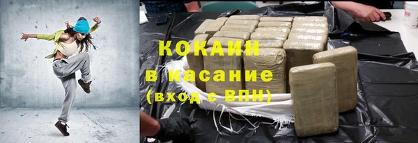 PSILOCYBIN Бородино
