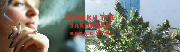 PSILOCYBIN Бородино