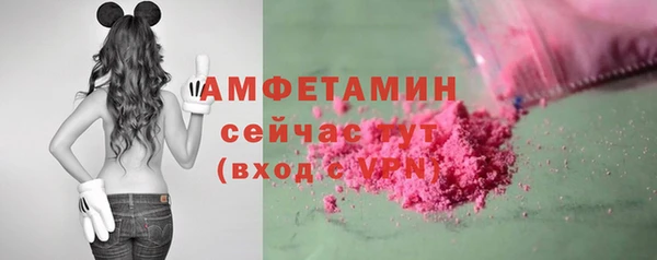 PSILOCYBIN Бородино