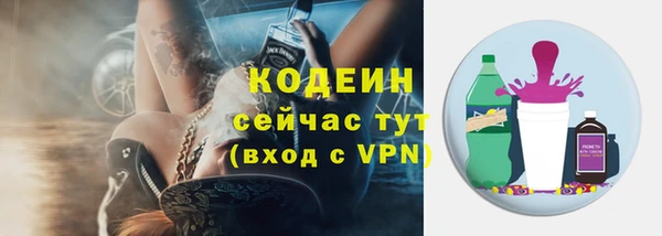 PSILOCYBIN Бородино