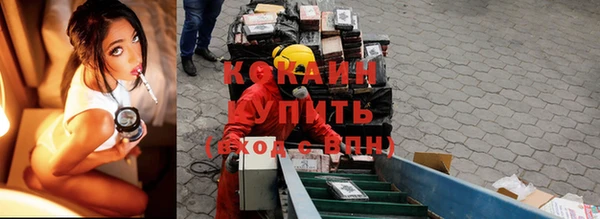 шишки Бронницы